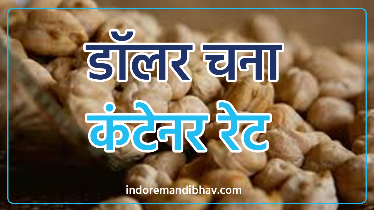 dollar chana container rate